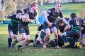 Monaghan 1st XV Vs Virginia 1st XV - Jan 31st 2015 (41 of 45)